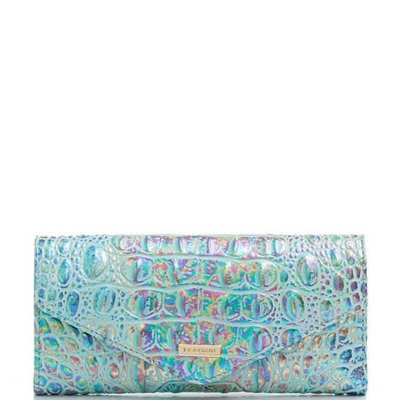 seashell collecting bolsa